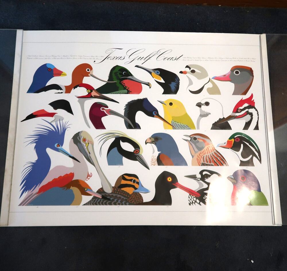 Gerald Sneed Texas Gulf Coast Birds Art Poster 18 x 24 in 2004 Nature